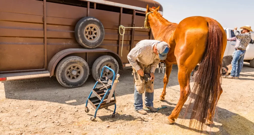 How to Become a Farrier